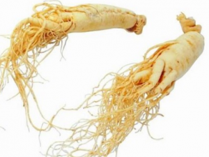 �˲ζ���������Ҳ�����Ҳ� ��Щ�˲�����ʳ���˲�