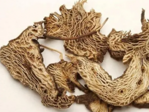 ��ʹ�������Ĺ�Ч ��ʹ������������Ϲ�