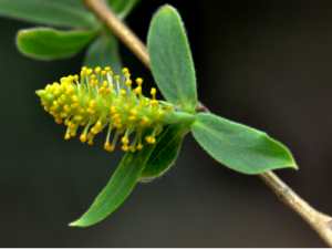 �����Ĺ�Ч ��������������