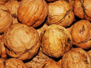 ��Ժ��Ҽɶ����� ˾��ʦ����������Ŷ