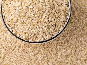 �����ʺ���Щ�˳� ������ô����ԱȽϺ�