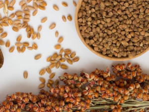 ����������Щ����Ĺ�Ч ��������ô�ԱȽϺ�