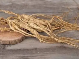 ƽ���εĹ�Ч ƽ������Ƣθ����