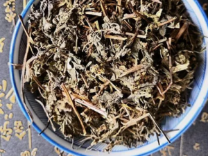 �Ͼ�ɢ�Ĺ�Ч �Ͼ�ɢ������Ӹ��