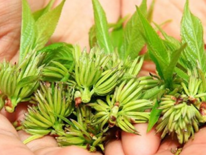 ���ܻ��Ĺ�Ч ���ܻ��������ܰ�����