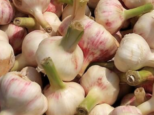 ⷢѿ׻ܲܳ ⷢѿҪעĽ