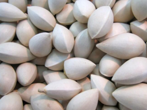 �׹���ôʳ�ø�Ӫ�� �׹���ʳ�ý���