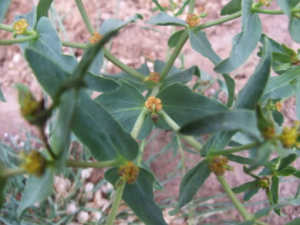 �������Ĺ�Ч ��������ˮ����ͣ