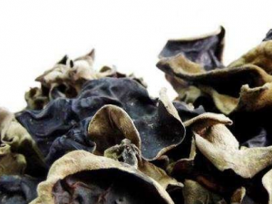 ëľ���Ĺ�Ч ëľ���ܲ�Ѫ��Ѫ