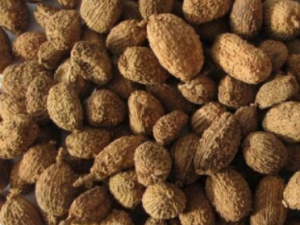 ��̥��Ԫ���Ĺ�Ч ��̥��Ԫ���ɰ�̥��Ԫ