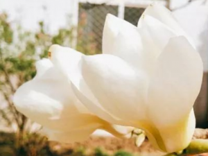 ���¾յĹ�Ч ���¾��ε�������