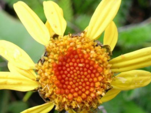 ����յĹ�Ч ���������������