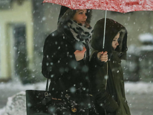 �＾�ؽڲ��෢���Ԥ��