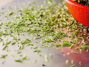 ����ѿ��Ĺ�Ч ����ѿ������Ȼ�̵