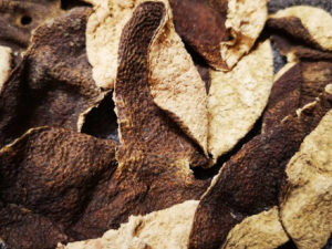 �ײ�Ƭ�Ĺ�Ч �ײ�Ƭ������