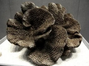 �Ǻڹܾ��Ĺ�Ч �Ǻڹܾ����ӹ�����