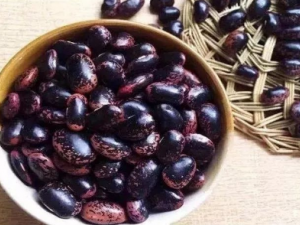 �Ҷ��Ĺ�Ч �Ҷ����ڷ�ʪ�Թؽ���