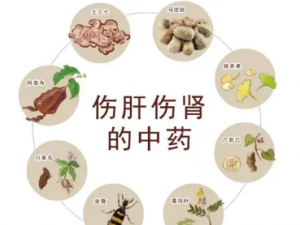 �ڻ����Ĺ�Ч �ڻ�������Կ�