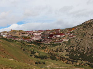 «�ʵ��Ĺ�Ч «�ʵ����ζ�ֹʹ������