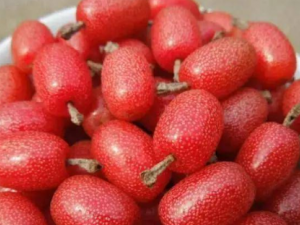 ���̹��Ĺ�Ч ���̹���������