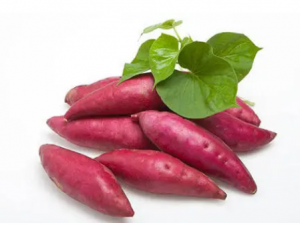 ������ʳ�������� �Ͻ����˽�һ�°�