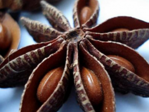 �˽�������Ĺ�Ч �˽�������������