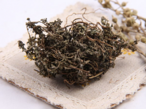 �챧�Ĺ�Ч �챧����������