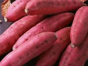 ���Ժ�������Щ�ô�