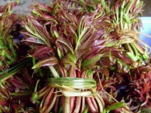 ���޴��Ĺ�Ч ���޴�����ű��