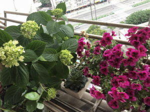 ���ӻ��Ĺ�Ч ���ӻ����ᴯ