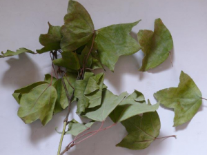 ���Ƿ�Ĺ�Ч ���Ƿ��δ�״����