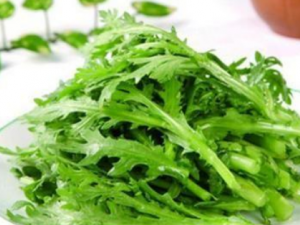 �����������߲�����Щ ��Щ�߲˰�����������