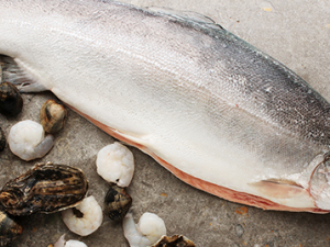 ��γԳ�ѩ�׼��� С���Ƽ�һЩ��ʳ