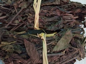 ��˿�ߵĹ�Ч ��˿���ην�˿�Ѫ