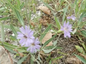 ���b�Ĺ�Ч ���b�����ȷ���