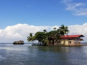 ���ղ��Ĺ�Ч ���ղ����������ȷ�