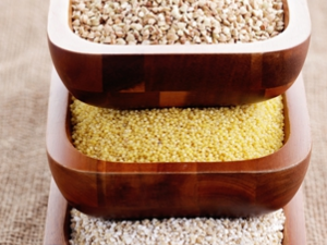 ��������ĳԷ��н��� ��ν��������