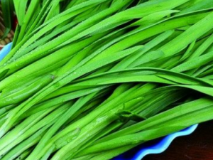 ����²�ͬ�Ի�����ЩΣ��