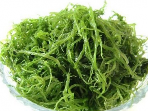 4����������ƣ�͵�ʳ���Ƽ� ƣ������Ͻ������԰�