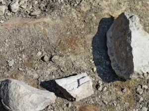 ���ѵĹ�Ч ��������Ѫ��ֹ