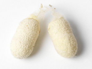 �ϼ���ҩ�Ĺ�Ч �ϼ���ҩ������ۼ�