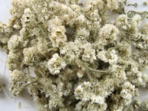 ����ɢ�Ĺ�Ч ����ɢ��С�����