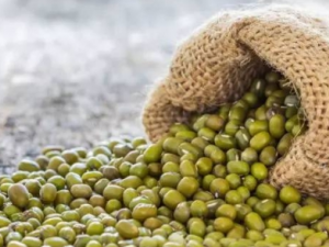 �̶���ʲôӪ�� �̶�������ر���ʳ��