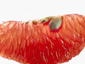 ���������ӵļ���ô� �������ܽ�Ѫ����