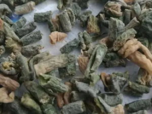 �ѻƹ�촵Ĺ�Ч �ѻƹ����ֹѪ��Ч