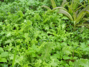 ����˵Ĺ�Ч ��������ڷ�ʪ�Թؽ���