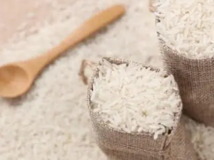 �����׵Ĺ�Ч ��������������