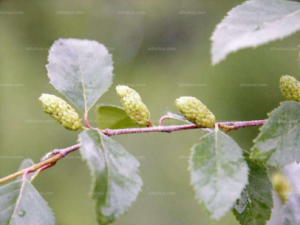 ɫ����Ĺ�Ч ɫ��������������������