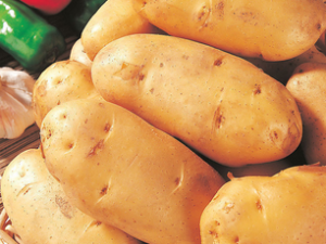 ���͵�ԭ�� ��Щʳ������������