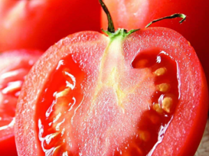 ������Ӧ���ע����ʳ �����ӵ���ʳ����